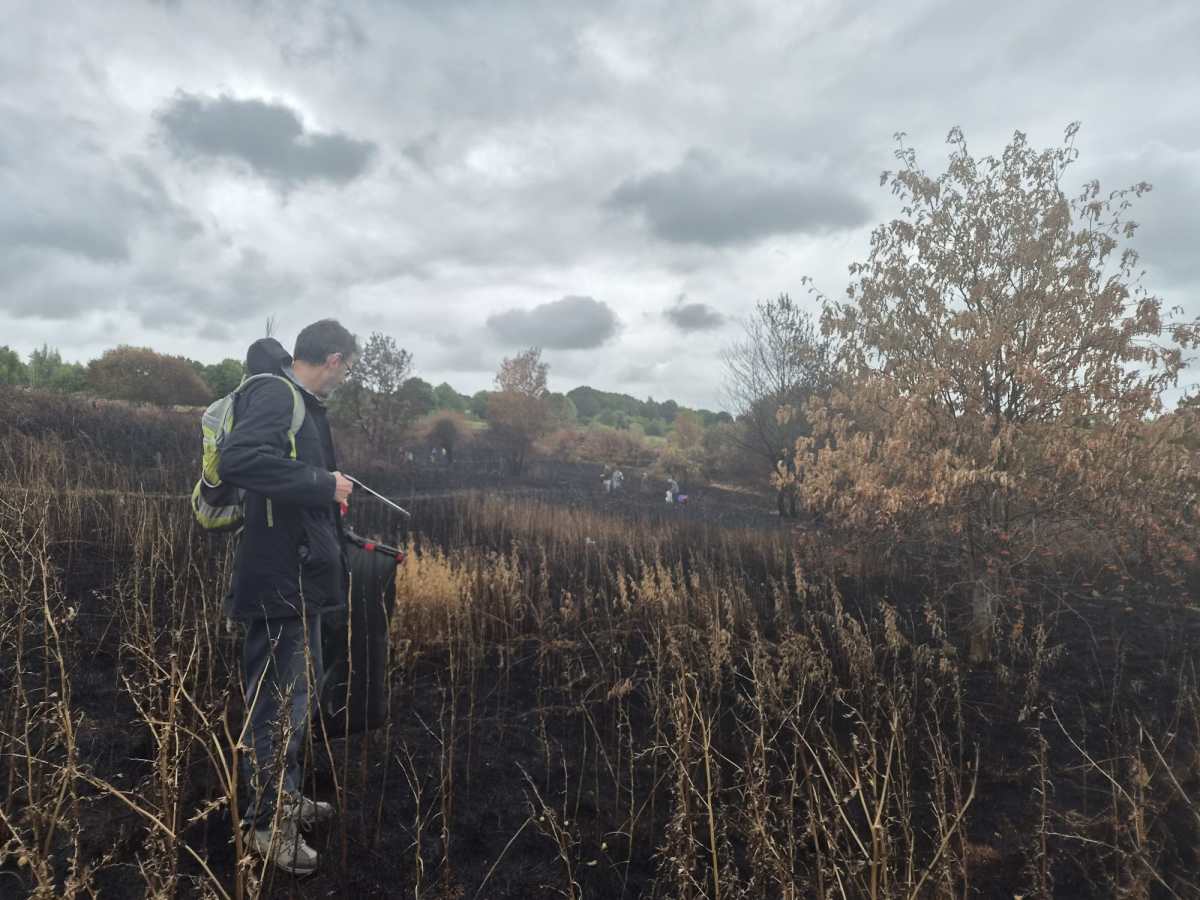 Manor Fields Park clean up after the&nbsp;fire.